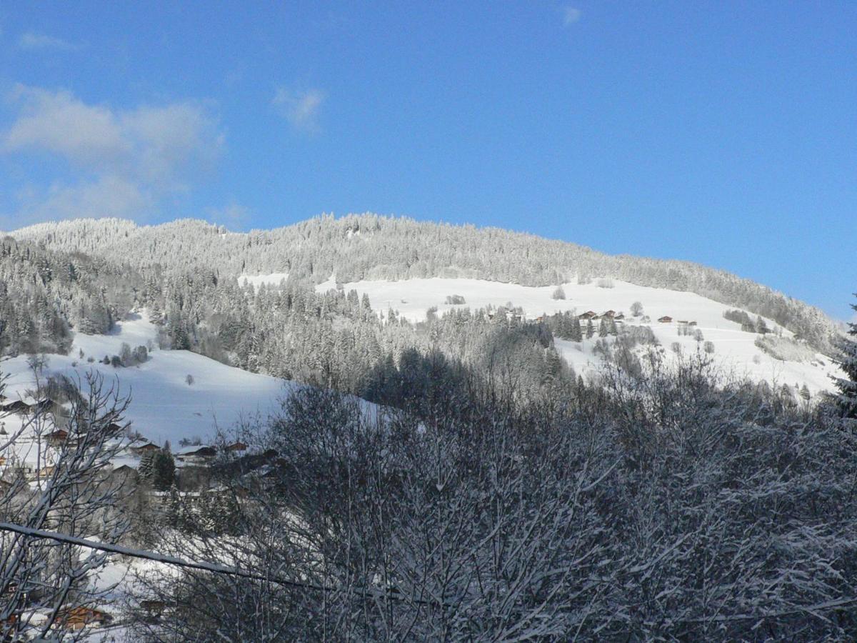 Petit Chalet Individuel De Caractere Megève Εξωτερικό φωτογραφία